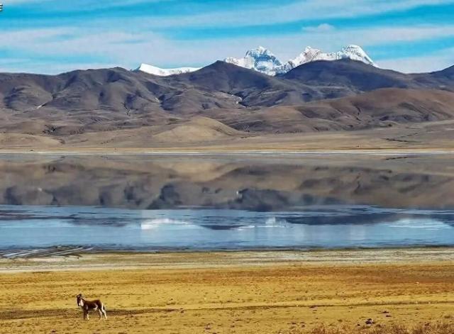 藏南错那：边民放牧即巡边，他们用血肉筑起无形长城