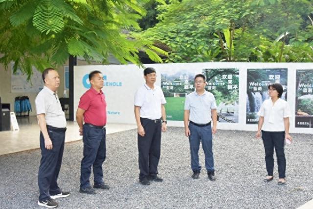崇左市政协主席王建毅到大新开展文旅和工业项目调研