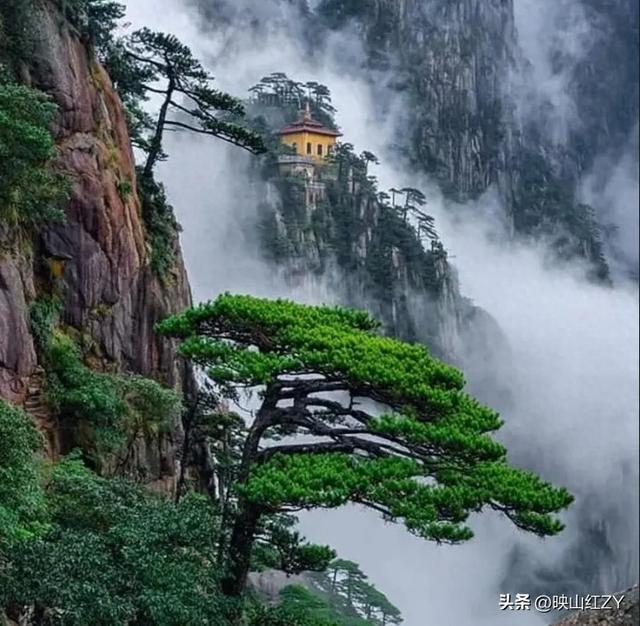 儿女们欢迎你来他们家同住 	，是因为你做到了“少说话，多做事	”