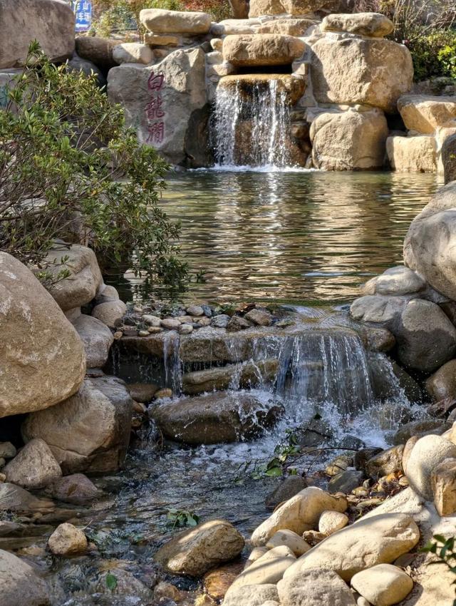 靓了！无锡老牌公园迎来“逆生长”