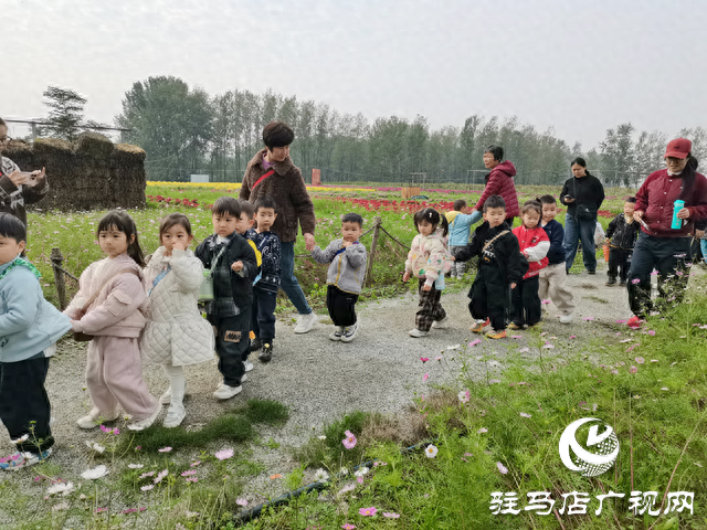 魏庄村“天边花海”即将开园 两百亩花田绘就秋日乡村画卷​​