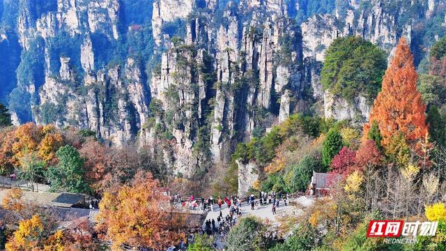 组图丨张家界国家森林公园漫山彩叶醉游人