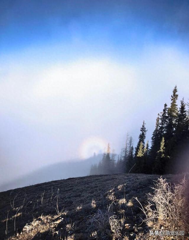 新疆赛里木湖现光晕，冰晶与光线碰撞，摄影师守候拍下震撼奇景