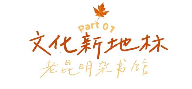 初冬CityWalk,来西山棕树营邂逅悠闲时光