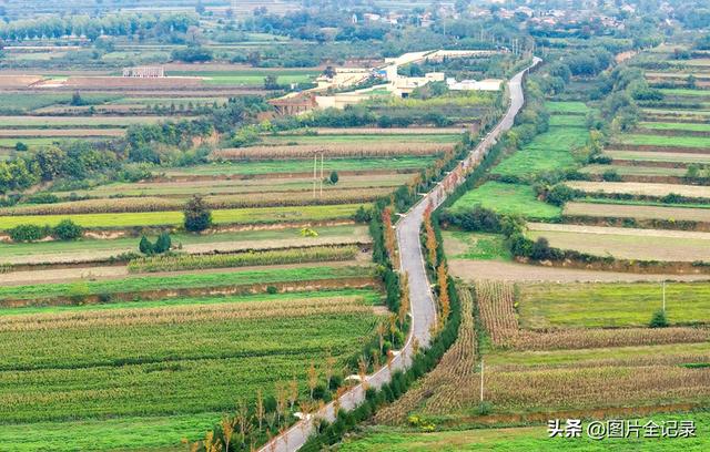 山西襄汾：陶寺遗址秋色美