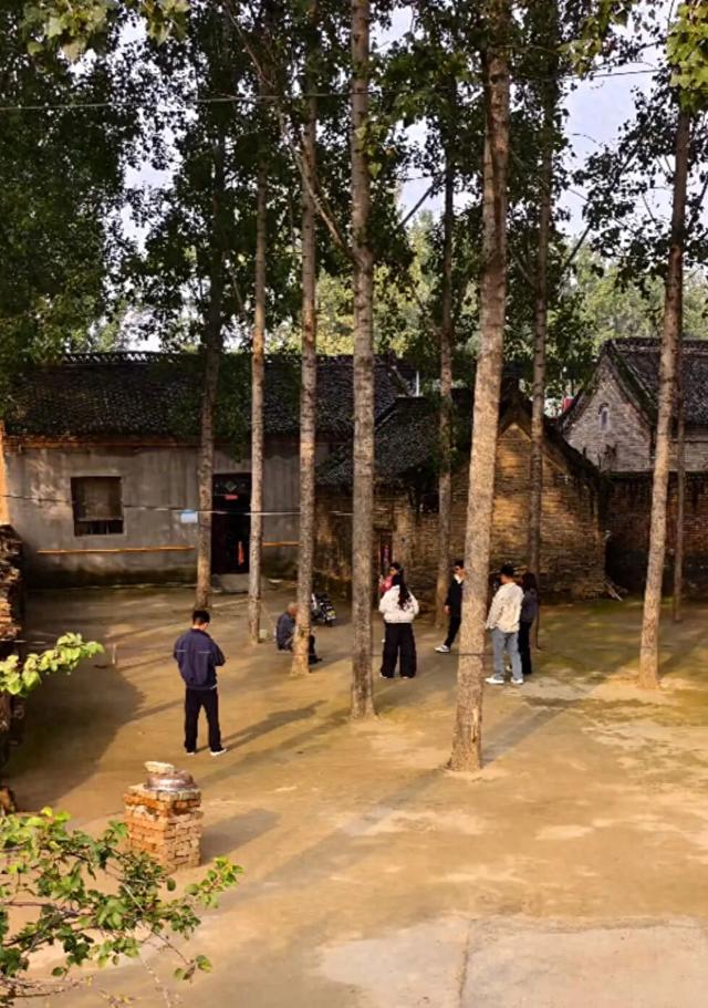 河南一大爷的院子因干净成网红打卡地，网友：像极了小时候家的样子，想脱鞋光脚丫子走