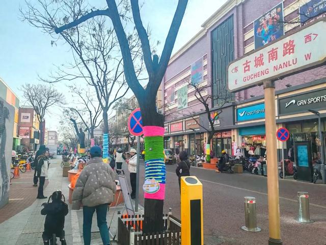 毛线织就小暖衣，石景山这里的树秒变萌系选手