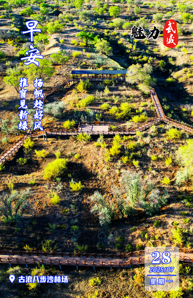 魅力武威丨古浪八步沙林场
