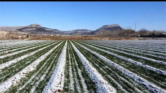 “小雪不见雪，来年长工歇”，今年的小雪节是晴，预兆着什么？