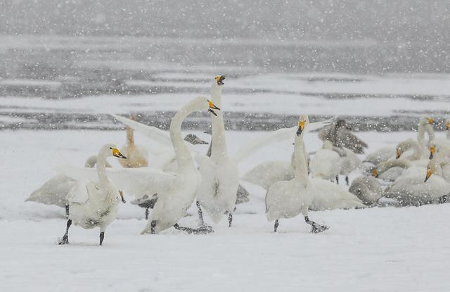冬游威海，全省推介！威海上榜省生态旅游发展典型案例