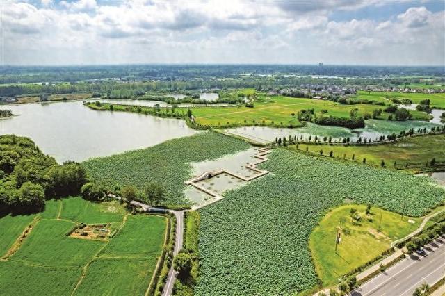 芜湖弋江区：生态湿地景色美