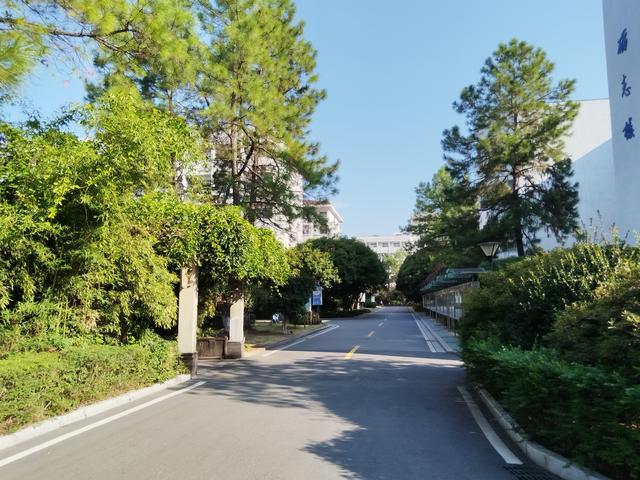 一个明一个空念什么（高考诗歌鉴赏炼字空字）