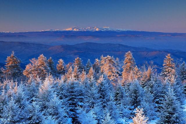 东北“小透明”城市争霸赛：谁是最没存在感的“隐形王者”？