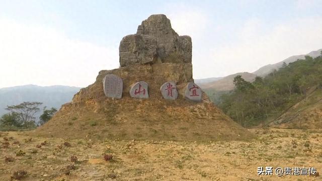 荷商代表考察了这些地方，处处是名片！