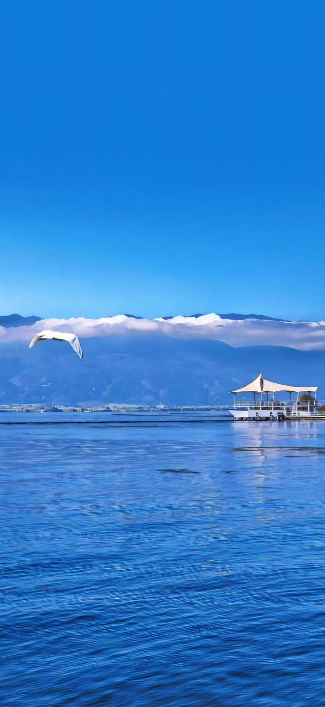 大海壁纸