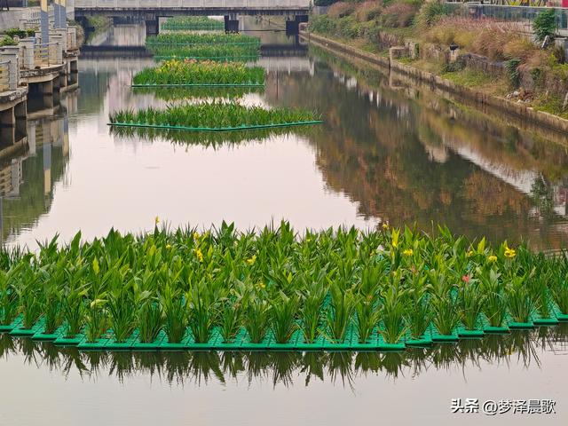 云梦生态浮岛的三重奏