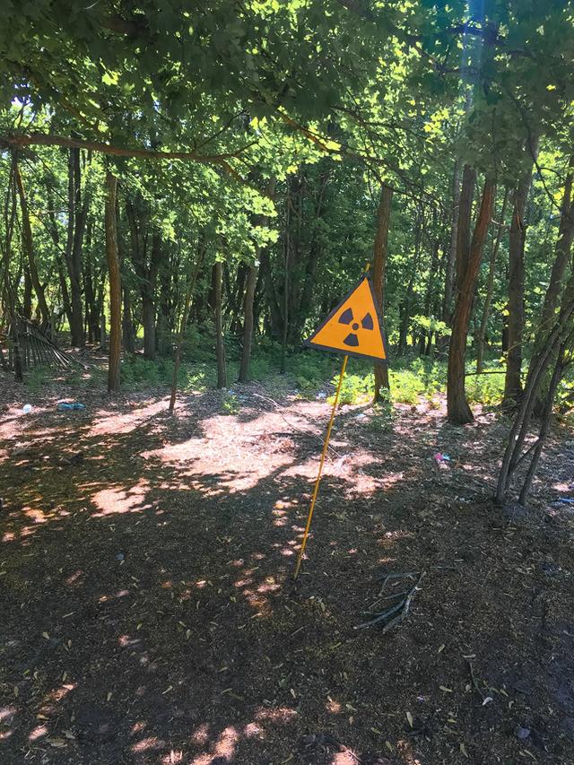 僵尸危机破解版苹果（60亿部废旧手机该何去何从电子僵尸危机要如何处理）