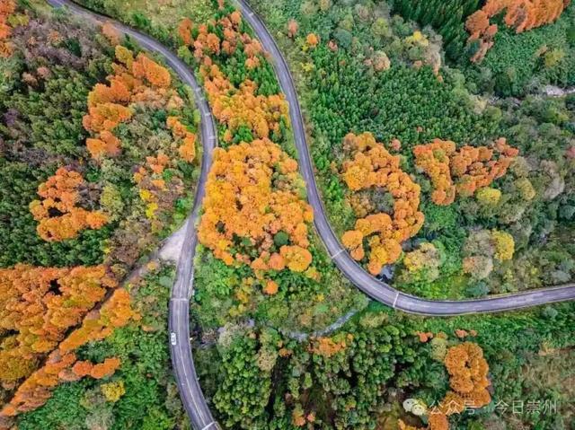 漫山彩林，琉璃坝的色彩美学