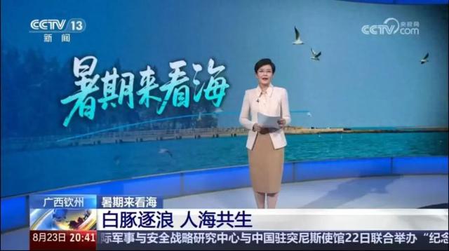 假期余额告急？央视力荐钦州，赶紧安排上→