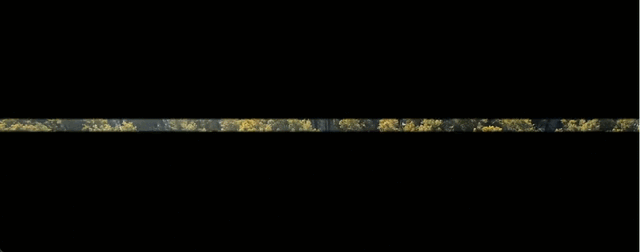 宝子们~66元起+超长有效期！这波优惠，你们喜欢吗