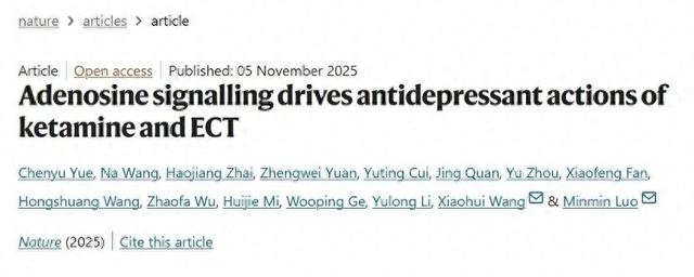 模拟动物人生2破解版（事关快速抗抑郁疗法）