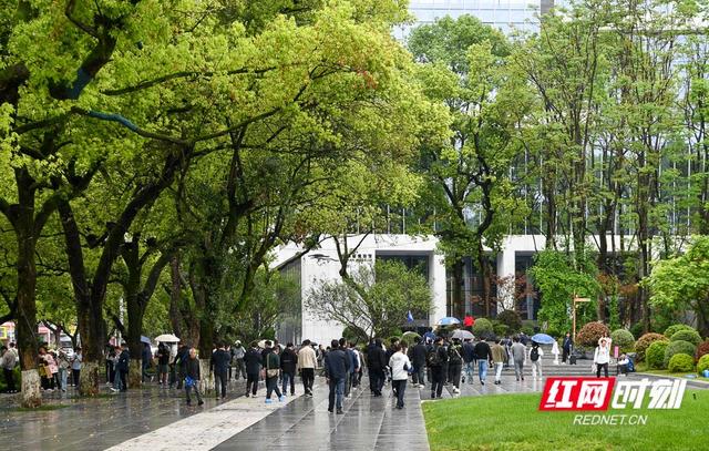 告别路边大排长龙 湖南 “馆园融合”通道今日启用