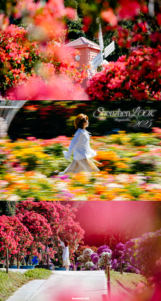 挤爆莲花山！深圳20万m²超大型花展，今天开始