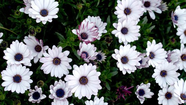 11月28日至12月4日星期五	，属猪，遇事有人帮！