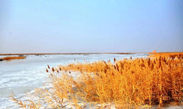 秋天总要去一趟新疆吧！去中国陆地最低点，听大地的“心跳”