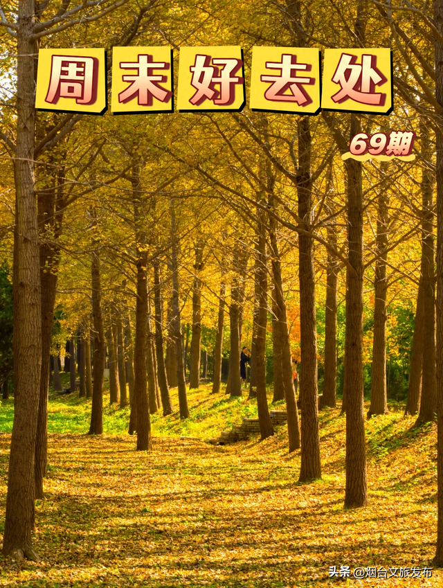 【乐游烟台】周末好去处丨玩转秋天！烟台好玩程度超出想象！