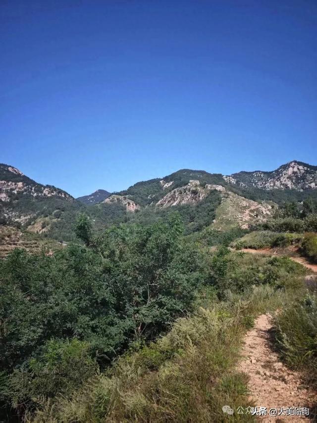网友周末徒步走进了“桃花源”，这个地方属于临朐，山青水秀！