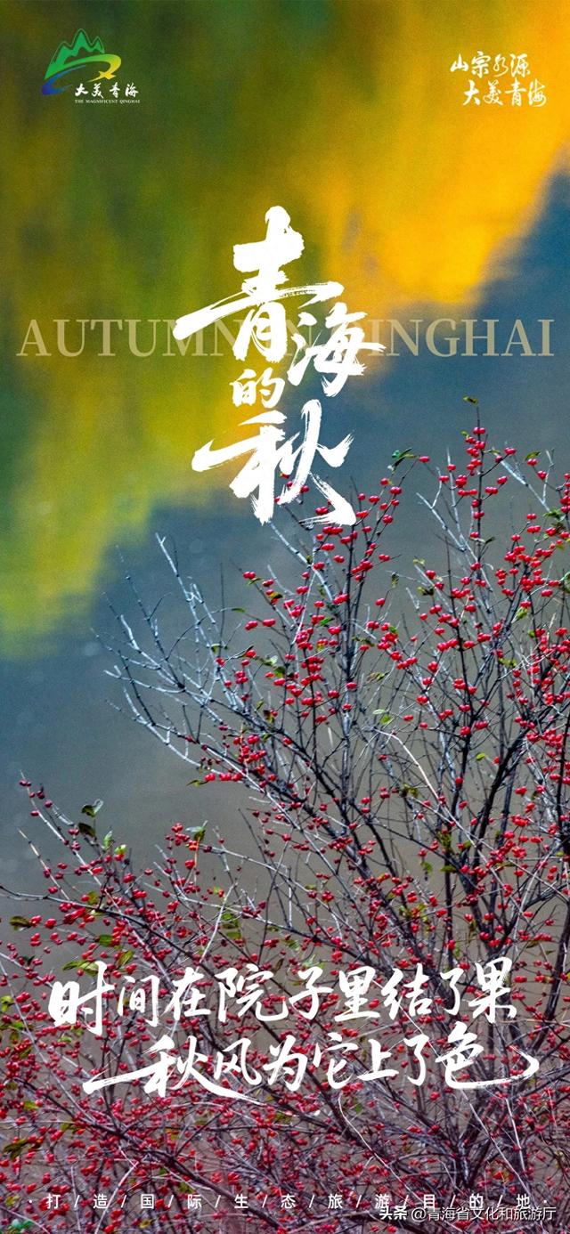 秋日青海 | 时间在院子里结了果 秋风为它上了色