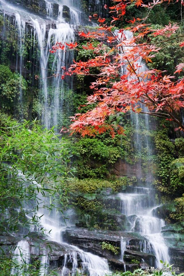 重阳至，到邛崃登高赏景，感受秋韵悠长～