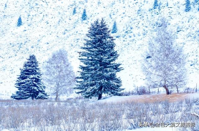 为什么我劝你，冬天一定要去一次新疆？