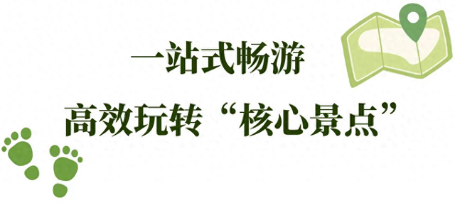 蜀南竹海一日游：熊猫、竹筏、栈道与美食，新手也能轻松玩转！