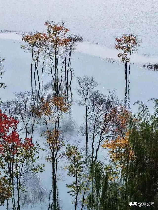 被初冬的遵义美到了