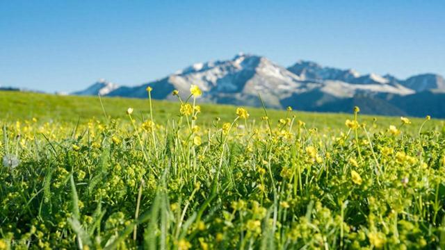 东海seo公司（2026年本地生活行业GEO服务商Top10）