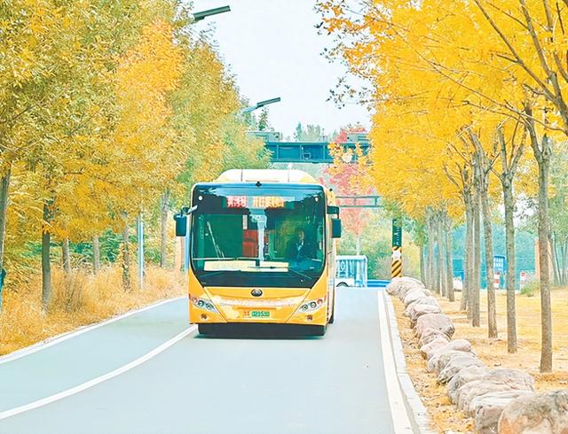 郑州文旅巴士“跑出”消费新动能
