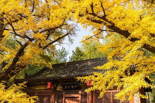 高清大图带你领略晋祠的秋