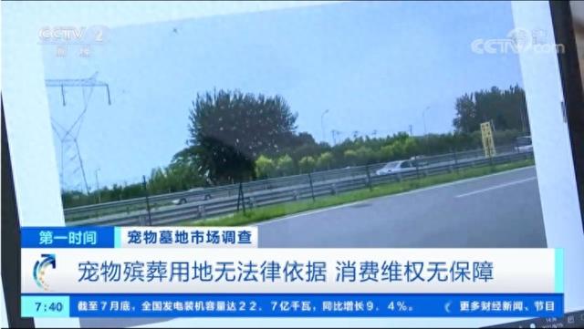 终极死亡陷阱3攻略（宠物殡葬乱象调查3000元难买体面告别）