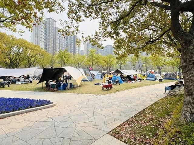 事关公园露营！上海确认：不得随意以安全为由，禁止搭设……