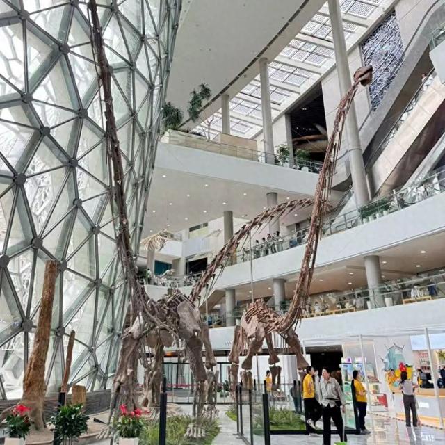 明晚“拍了拍你”，二次元狂欢夜来袭！