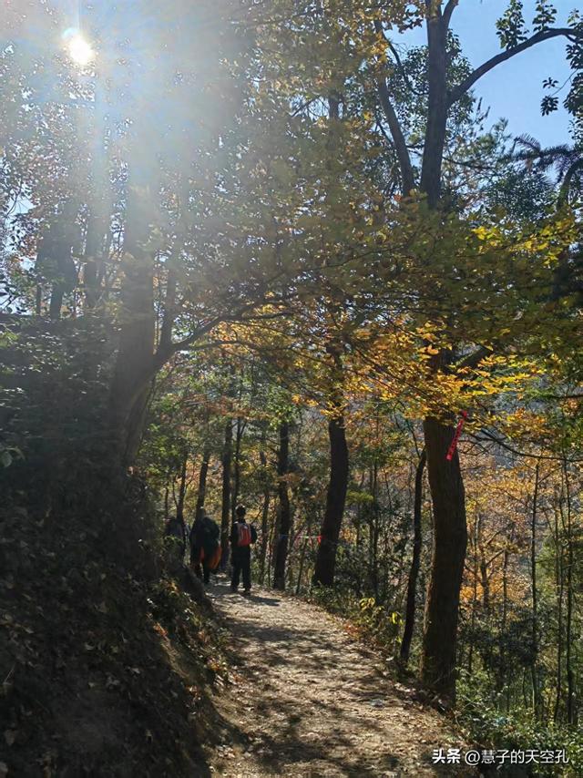 走进台州黄南古道，看千年古枫