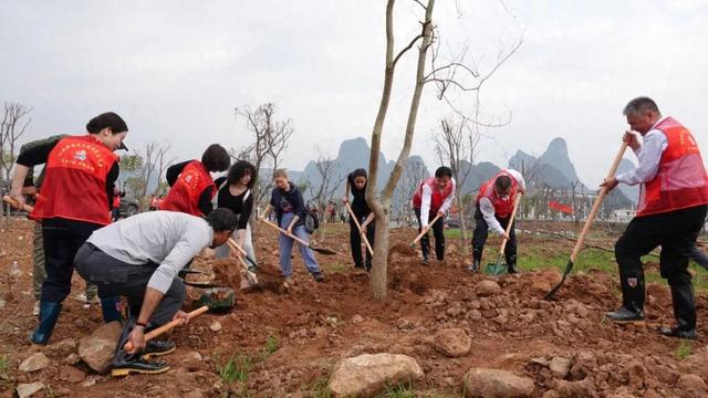 微视点 | 阳朔：“三化”赋能山水秀 生态变现百姓富