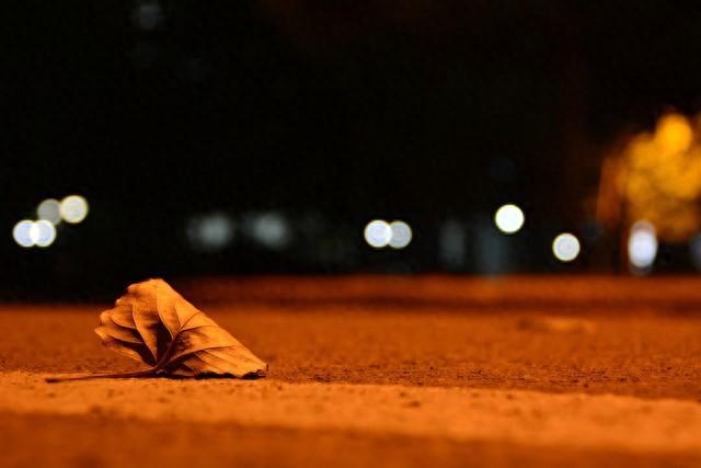 梦幻蛋糕店小游戏大全（老婆的龙凤胎闺蜜）