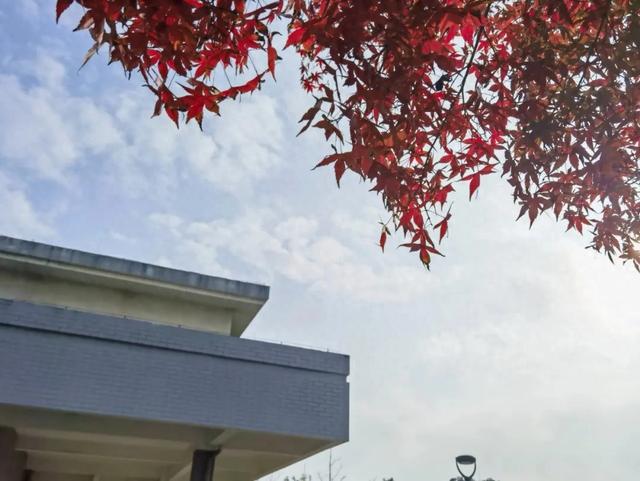 霜染秋深,向暖而行