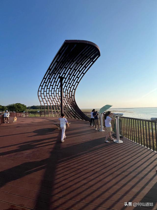 吴城狮子山观鸟