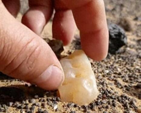 来辽宁“寻宝”，捡石头路线都给你摸清楚儿的