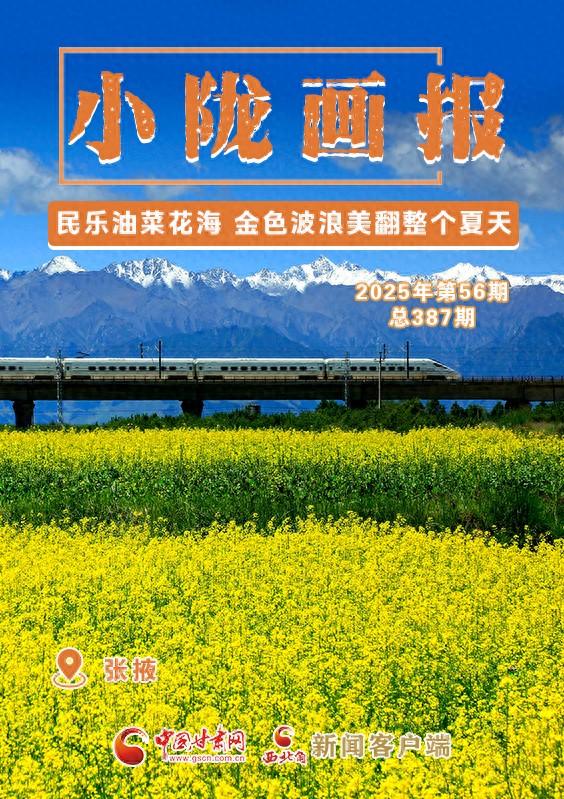 【小陇画报·387期】民乐油菜花海 金色波浪美翻整个夏天