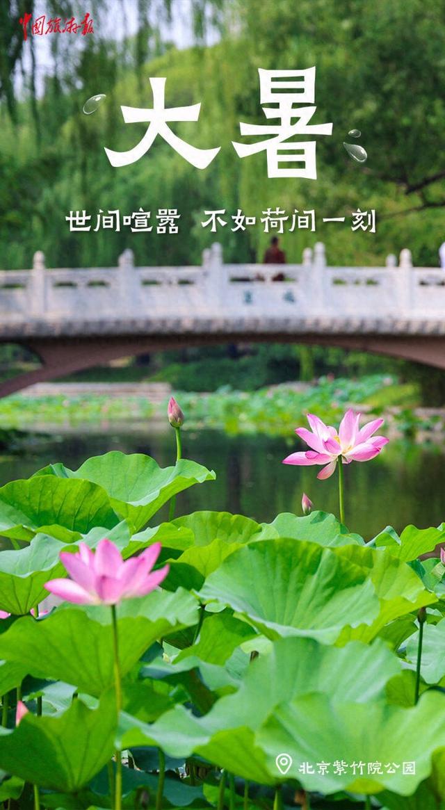 大暑至，夏正浓！尽情享受这个夏天吧！